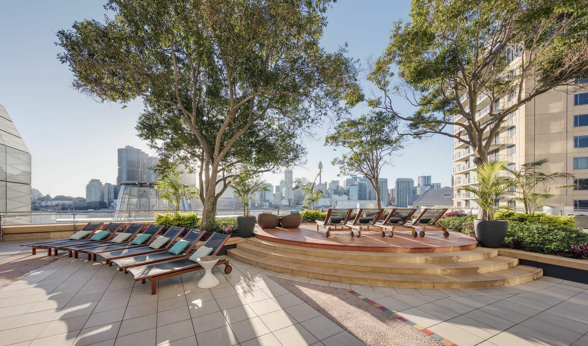 فندق ذا ستار جراند آند ريزيدنسيز سيدني المظهر الخارجي الصورة The rooftop garden